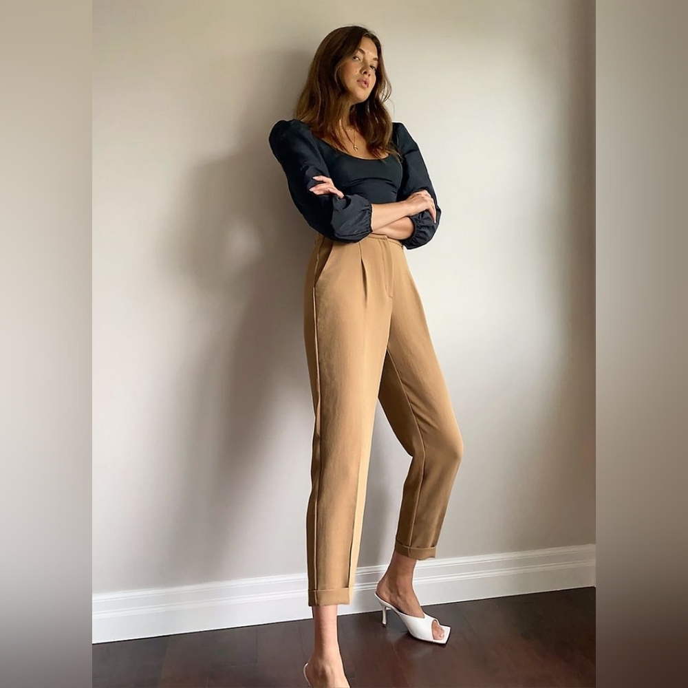 Wilfred Dashwood Pant High-Waisted Pleated Crepe Pants - Size 2